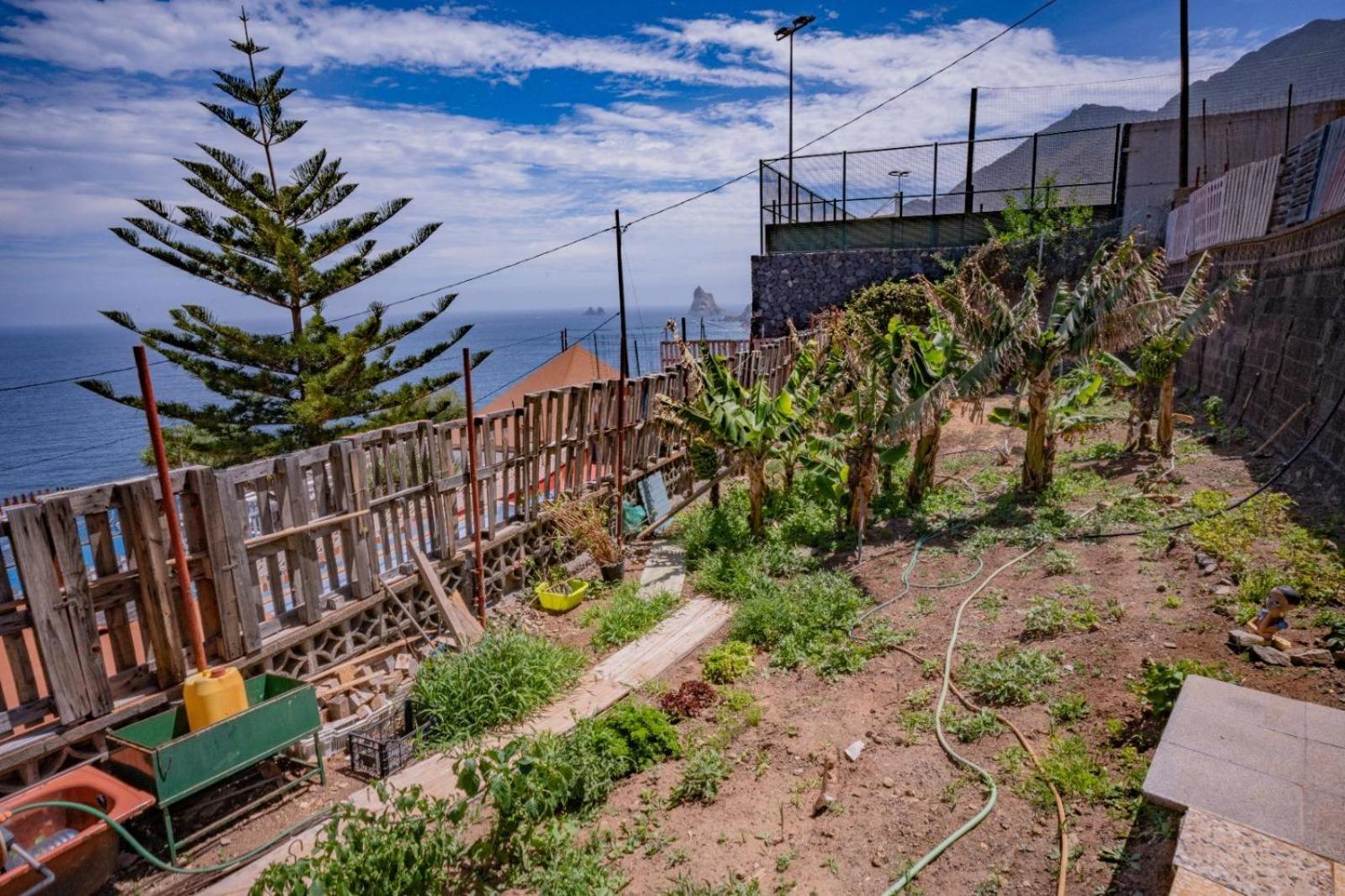 Estudios Kylie Y Evelyn Santa Cruz de Tenerife Dış mekan fotoğraf
