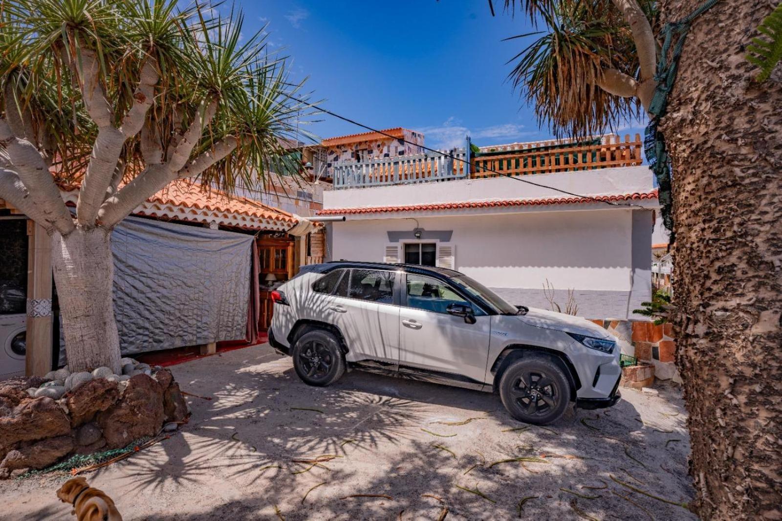 Estudios Kylie Y Evelyn Santa Cruz de Tenerife Dış mekan fotoğraf