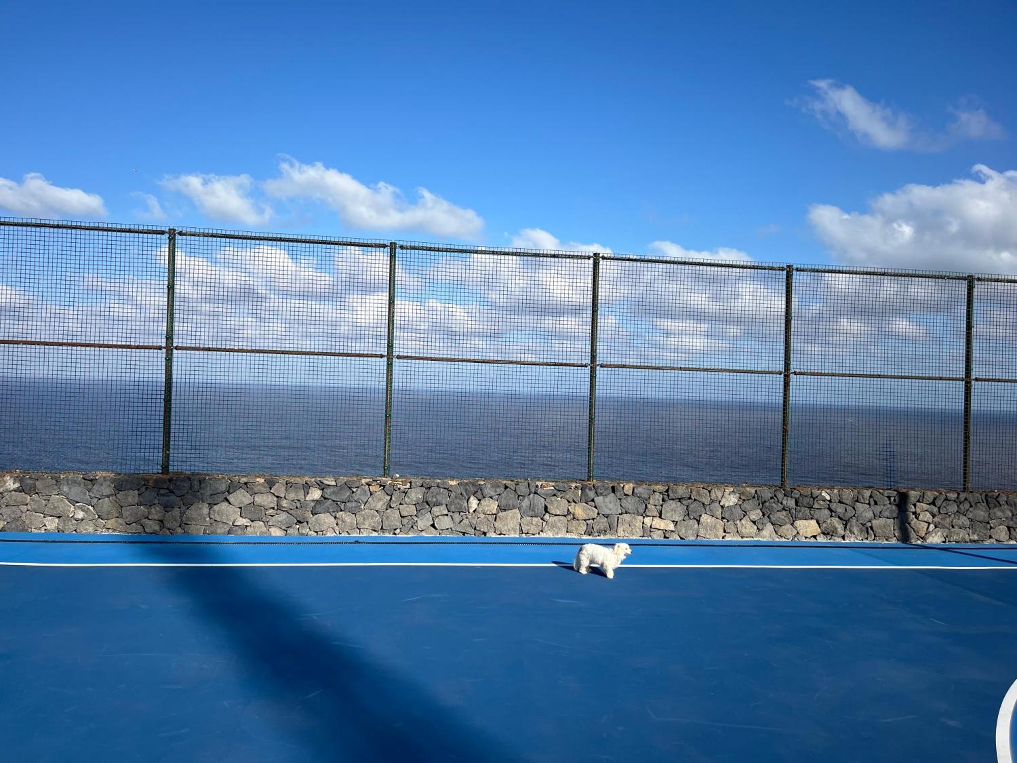 Estudios Kylie Y Evelyn Santa Cruz de Tenerife Dış mekan fotoğraf